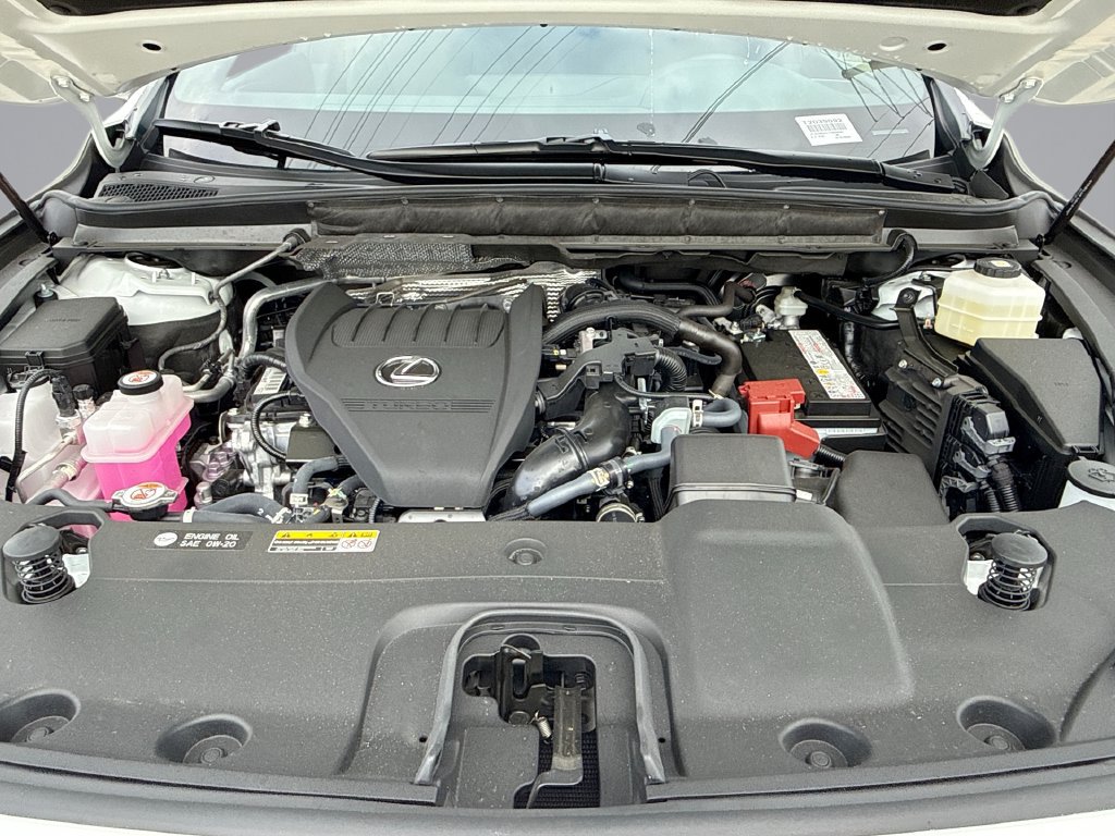 Used 2026 Lexus RX 350 Premium w/ Accessory Package (Z1) FWD image 14