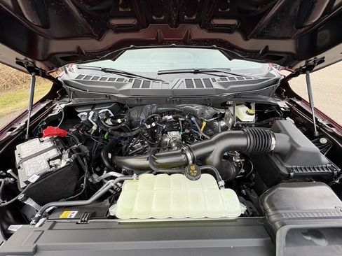 New 2025 Ford F150 STX w/ STX Black Appearance Package image 16