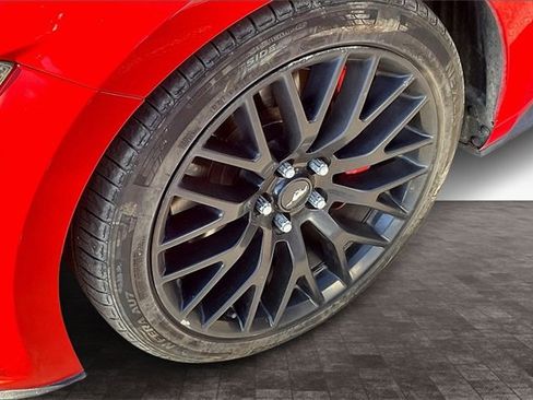 Used 2016 Ford Mustang GT Premium w/ Equipment Group 401A image 4