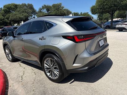 Certified 2025 Lexus NX 350h AWD w/ Cold Area Package