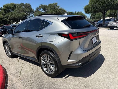 Used 2025 Lexus NX 350h AWD w/ Cold Area Package image 3