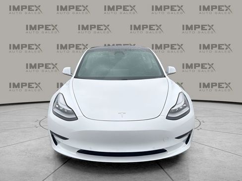 Used 2019 Tesla Model 3 Standard Range Plus image 8