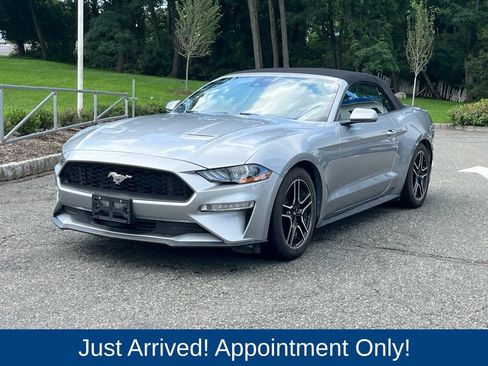 Used 2021 Ford Mustang Premium RWD image 3