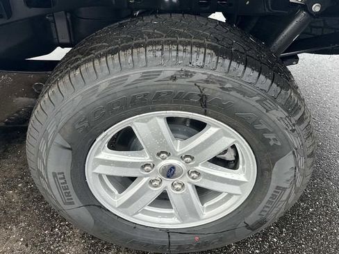 New 2025 Ford F150 XL w/ Equipment Group 103A High image 17