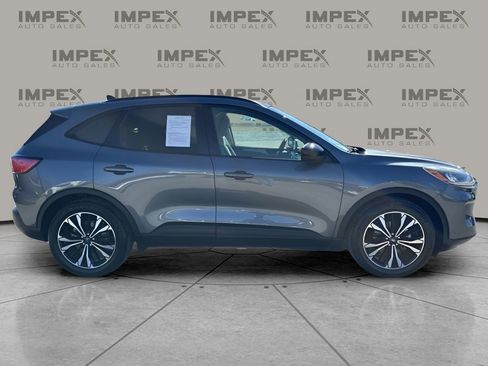 Used 2022 Ford Escape SE w/ SE Sport Appearance Package image 6