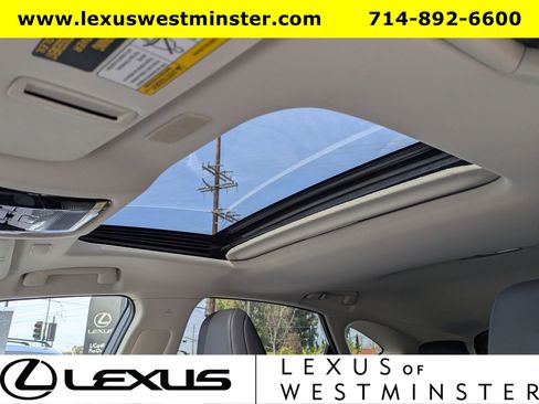 Used 2025 Lexus NX 350h NX 350h Premium image 19