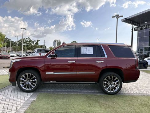 Used 2019 Cadillac Escalade Platinum RWD image 3