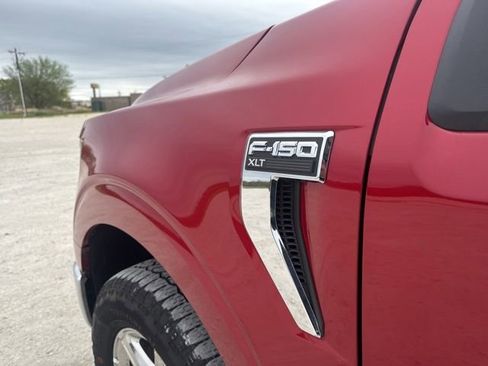 Used 2025 Ford F150 XLT w/ Equipment Group 301A Standard image 8