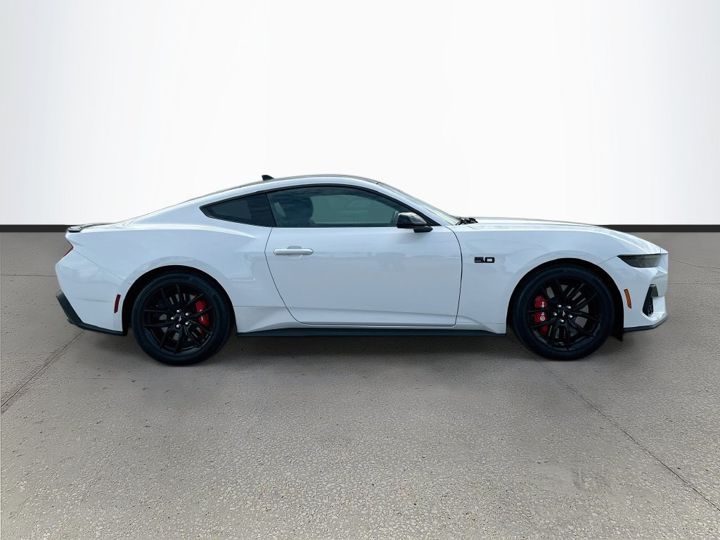Used 2026 Ford Mustang GT w/ Mustang Nite Pony Package RWD image 8