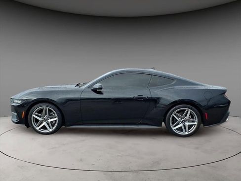 Used 2024 Ford Mustang EcoBoost image 2