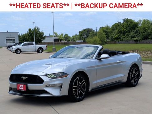 Used 2019 Ford Mustang Premium RWD image 3