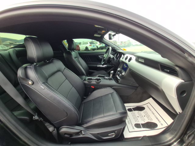 Used 2016 Ford Mustang GT Premium w/ Equipment Group 401A RWD image 15