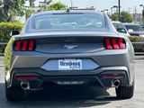 New 2025 Ford Mustang Coupe image 5