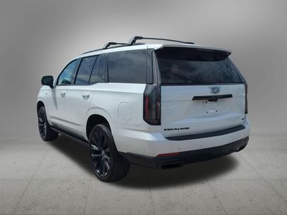 Used 2025 Cadillac Escalade Sport Platinum w/ LPO, ONYX Package
