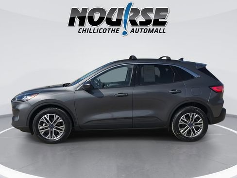 Used 2022 Ford Escape SEL AWD/4WD image 5