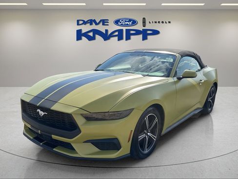 Used 2025 Ford Mustang Premium image 4
