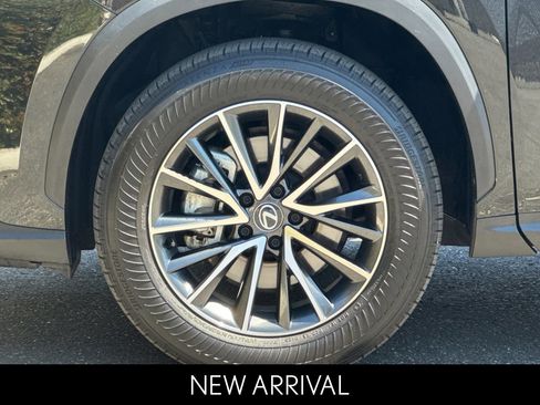 Certified 2025 Lexus NX 350h AWD w/ Cold Area Package image 30