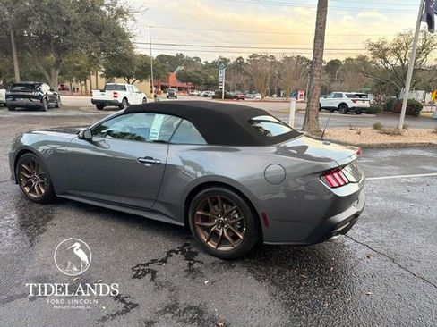 New 2026 Ford Mustang Premium w/ Bronze Appearance Package image 6