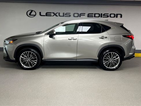 Certified 2026 Lexus NX 350h AWD w/ Cold Area Package image 4
