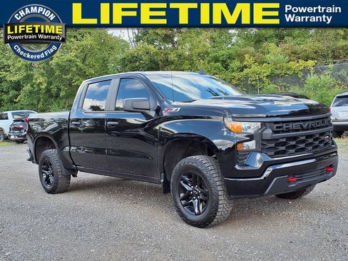 Used 2024 Chevrolet Silverado 1500 Custom Trail Boss AWD/4WD image 3