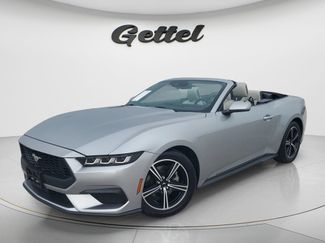 Used 2024 Ford Mustang Premium RWD video 1