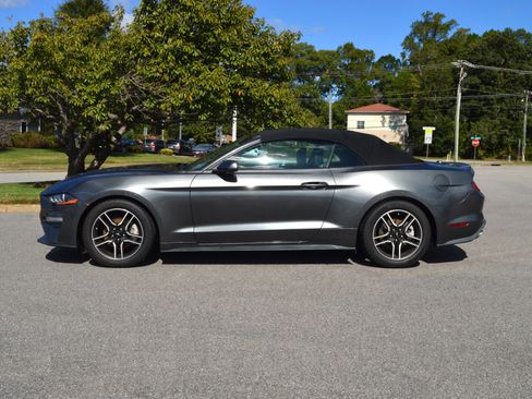 Used 2018 Ford Mustang Premium w/ Equipment Group 101A image 6