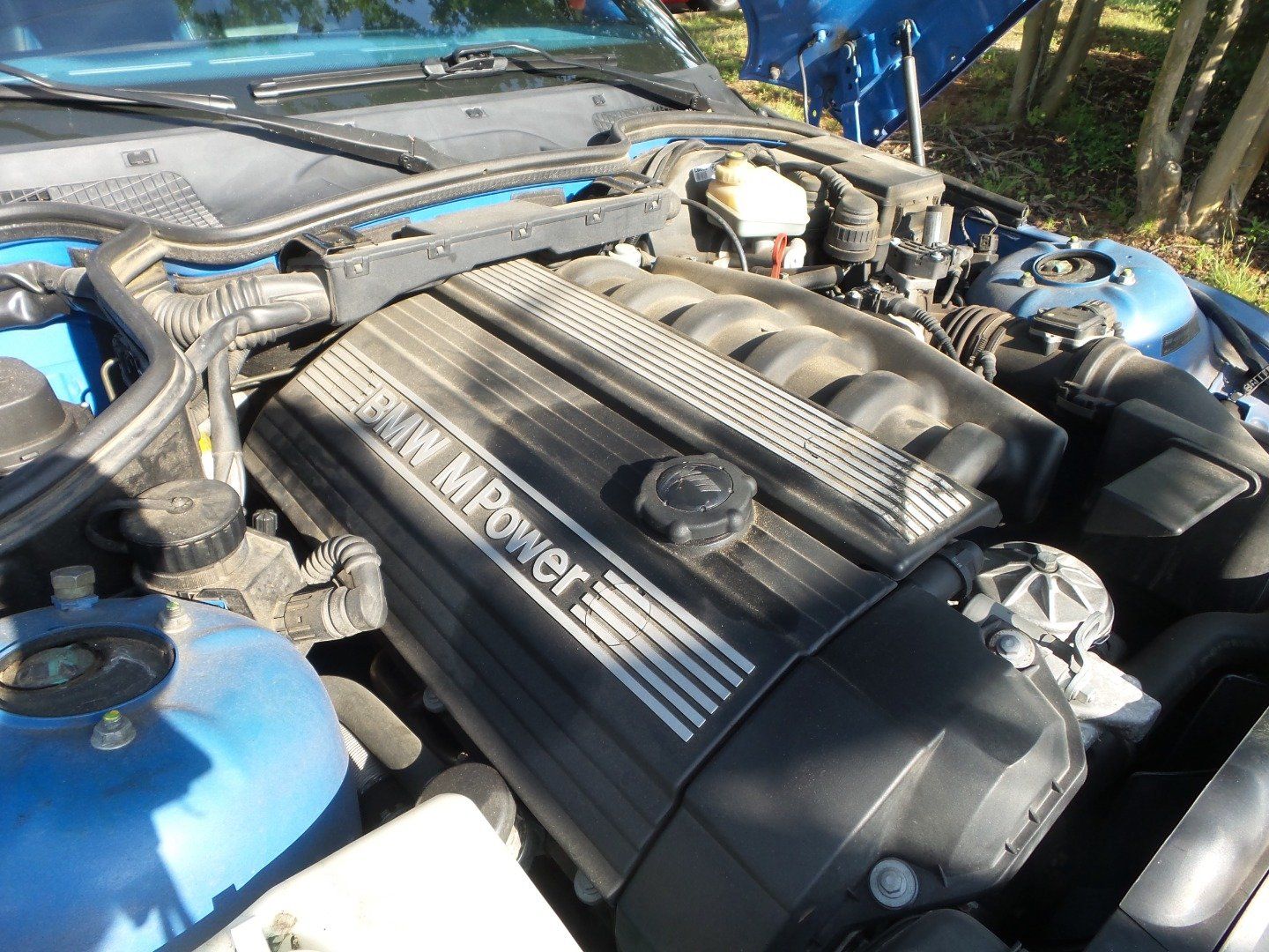 Used 1999 BMW M Roadster RWD image 11