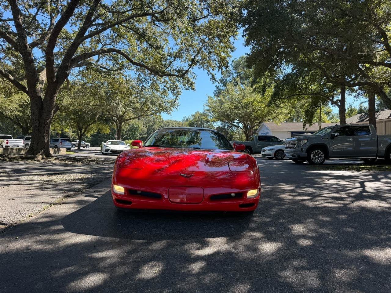 Used 1998 Chevrolet Corvette Coupe RWD image 2