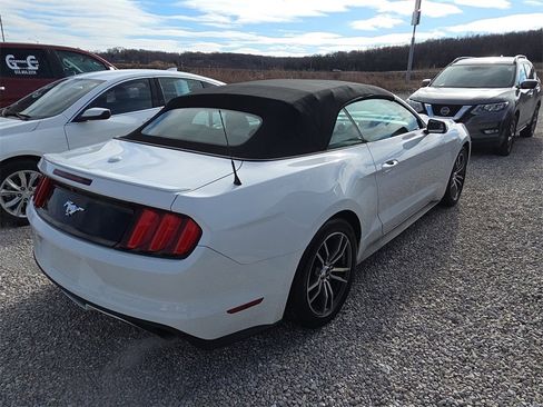 Used 2017 Ford Mustang Premium image 6