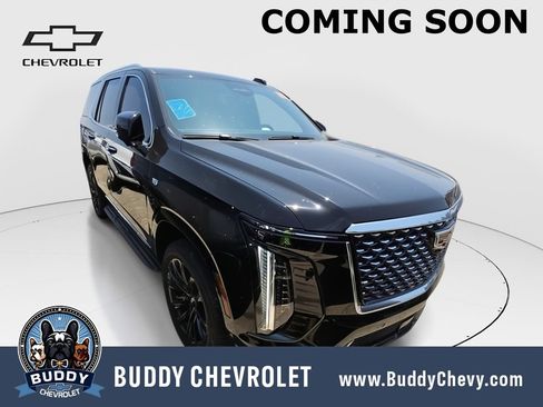 Used 2025 Cadillac Escalade Premium Luxury AWD/4WD image 1
