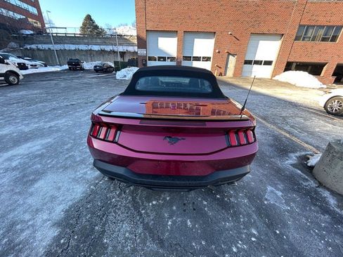 Used 2025 Ford Mustang Premium w/ Mustang Nite Pony Package image 6