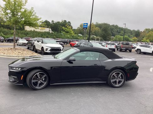 Used 2024 Ford Mustang Premium image 12