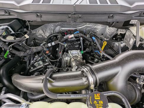 New 2025 Ford F150 STX w/ Equipment Group 200A image 21