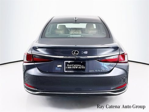 Certified 2023 Lexus ES 250 w/ Premium Package image 6