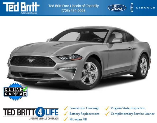 Used 2019 Ford Mustang Coupe w/ Equipment Group 101A RWD image 1