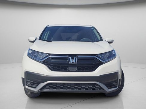Used 2020 Honda CR-V EX-L image 3