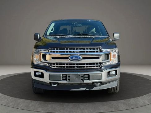 Used 2019 Ford F150 XLT w/ Equipment Group 302A Luxury image 2