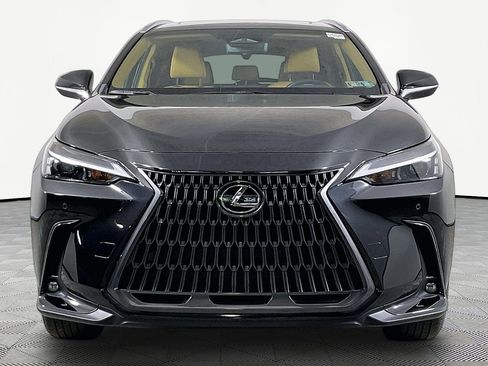 Used 2024 Lexus NX 350 AWD w/ Cold Area Package image 2