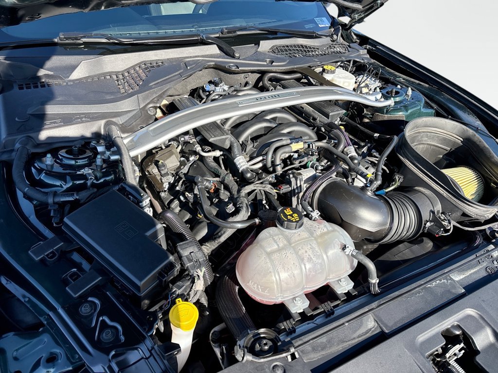 Used 2019 Ford Mustang Bullitt RWD image 16