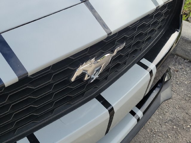 Used 2016 Ford Mustang Premium RWD image 4