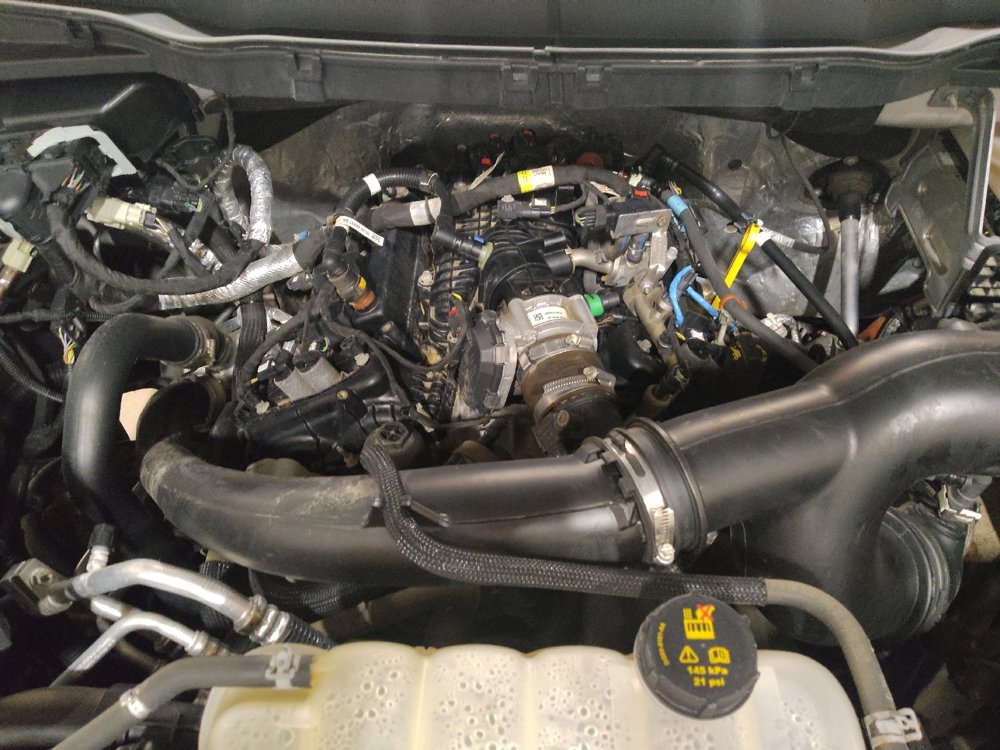 Used 2021 Ford F150 XL w/ Equipment Group 101A High AWD/4WD image 30