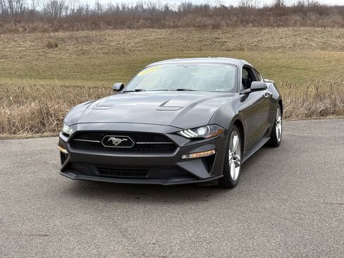 Used 2020 Ford Mustang Premium w/ Pony Package image 1