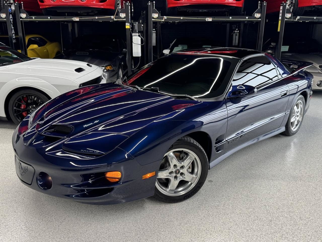 Used 2001 Pontiac Firebird Trans Am w/ SLP Firehawk Pkg RWD image 2