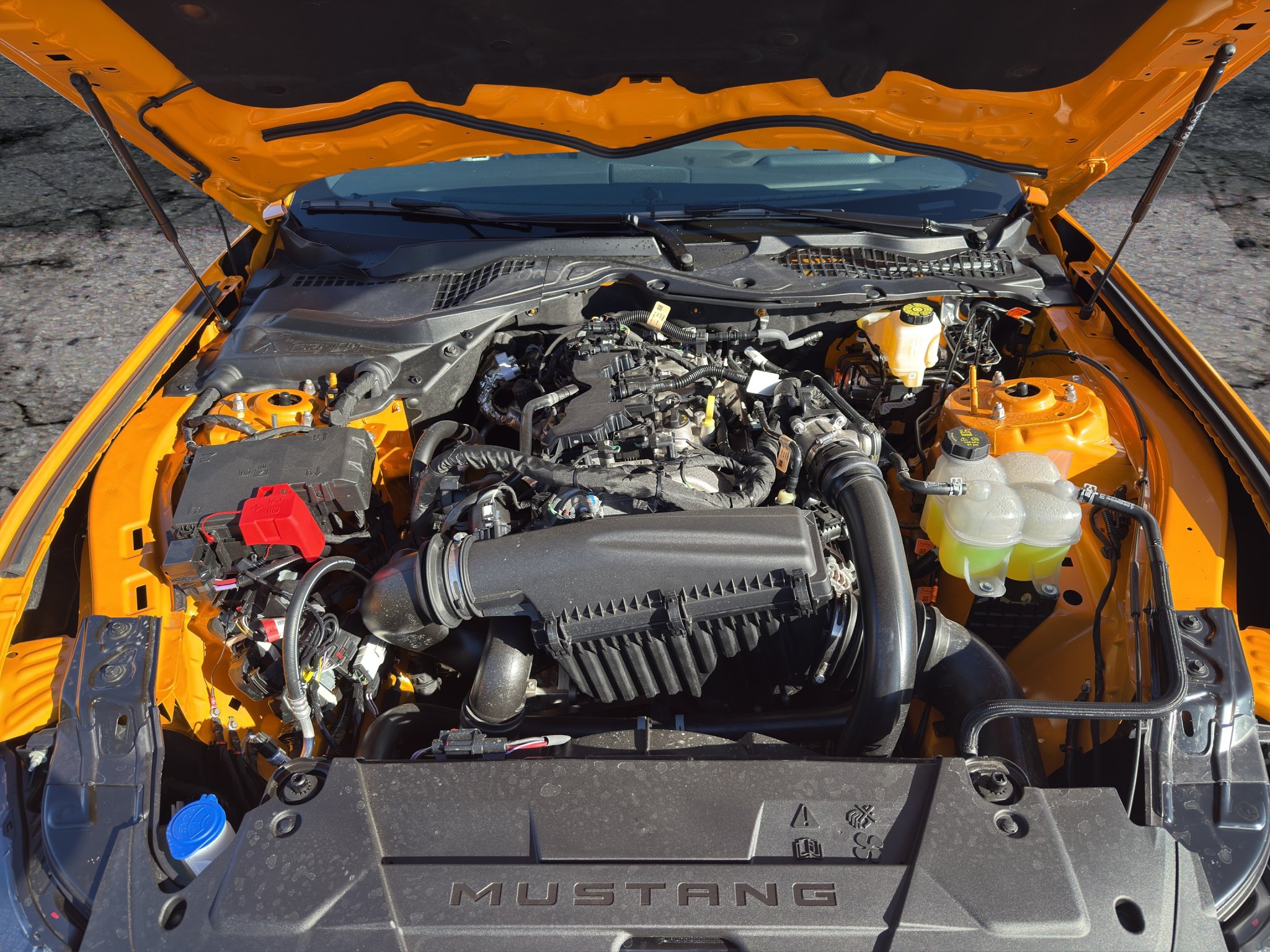 Used 2026 Ford Mustang Premium RWD image 19