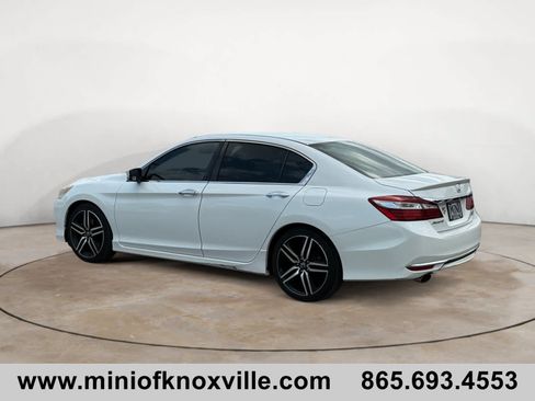 Used 2017 Honda Accord Sport Special Edition image 5