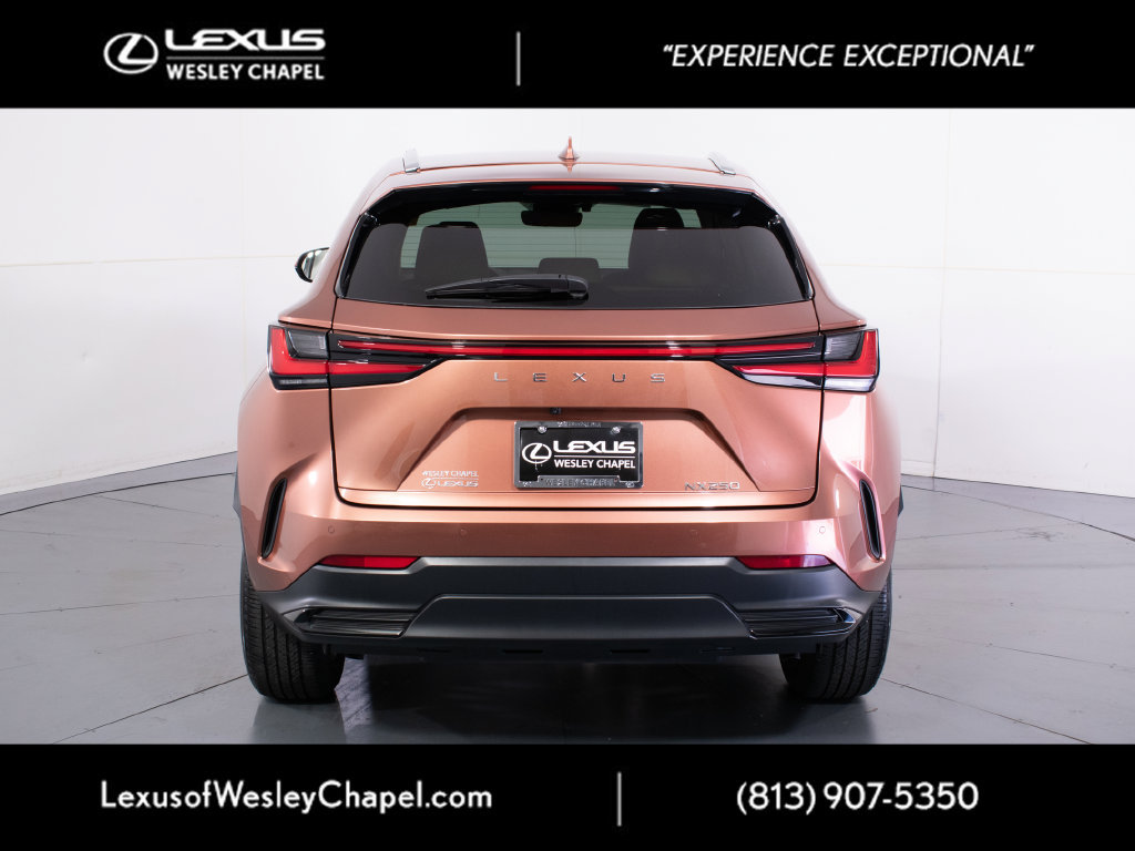 Used 2025 Lexus NX 250 FWD w/ Accessory Package (2T) image 5