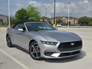 Used 2024 Ford Mustang Premium video 1