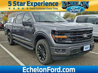 New 2025 Ford F150 XLT w/ Equipment Group 303A High