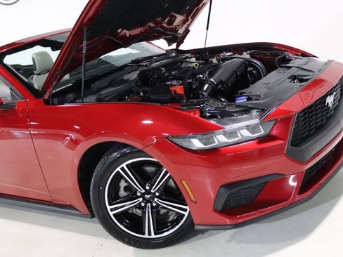 Used 2024 Ford Mustang Premium RWD image 72