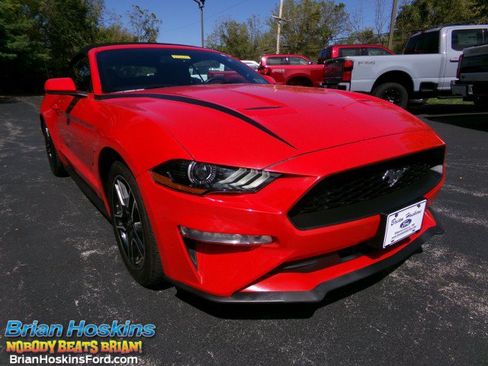 Used 2020 Ford Mustang Premium RWD image 1